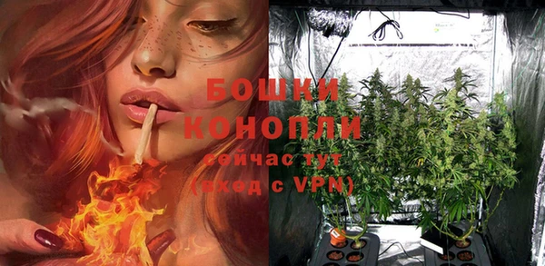 PSILOCYBIN Балабаново