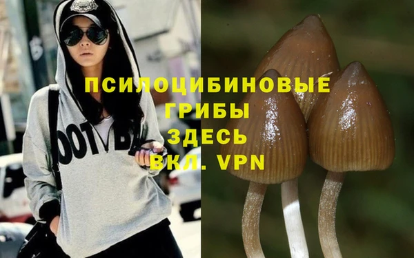 PSILOCYBIN Балабаново