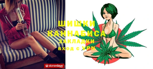 PSILOCYBIN Балабаново